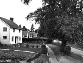 Levington Lane 1960